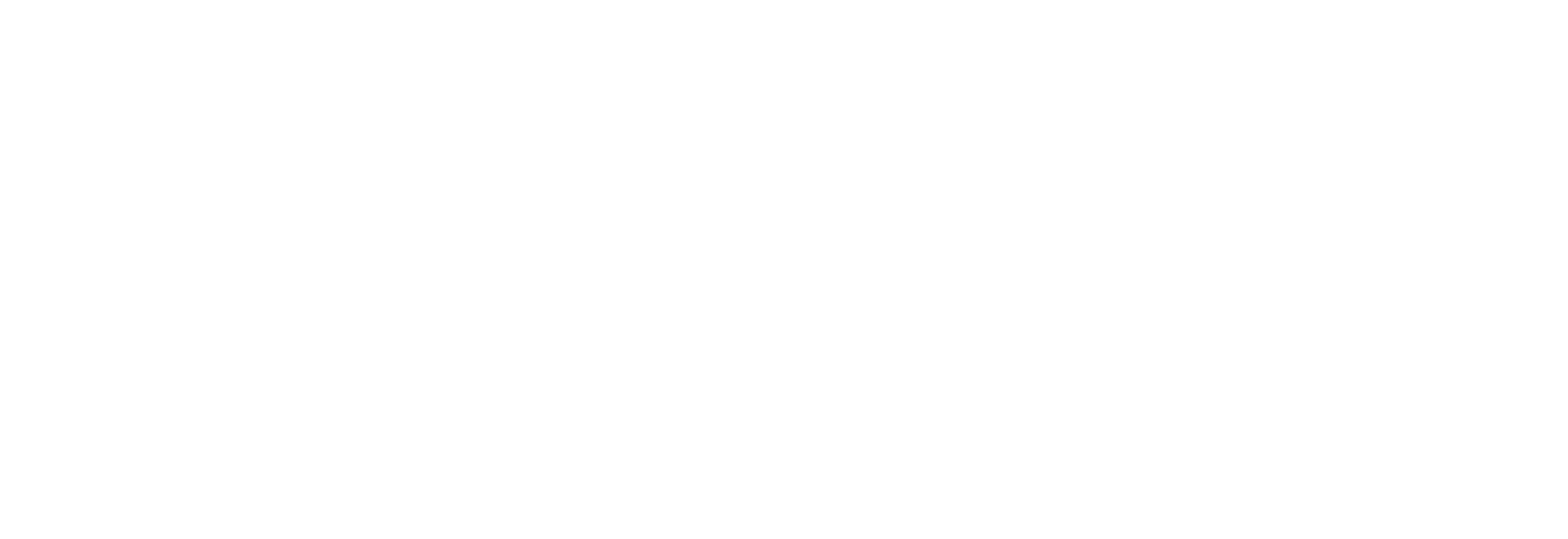 Fiscal Business loqosu